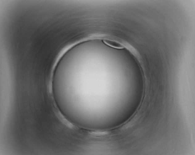 X0000111661296200907241144