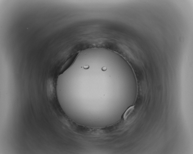 X0000111661298200907241143