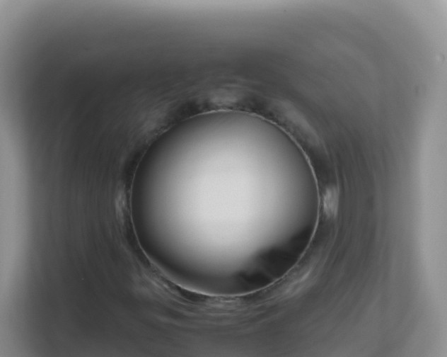 X0000111661299200907241143