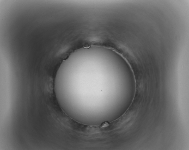 X0000111661301200907241143