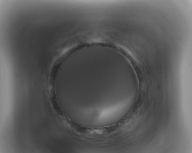 X0000111661303200907241143