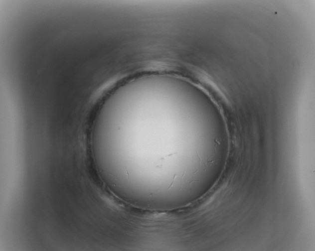 X0000111661304200907241143