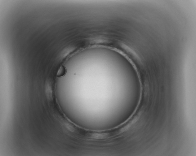 X0000111661305200907241143