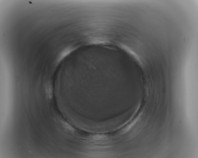 X0000111661306200907241143