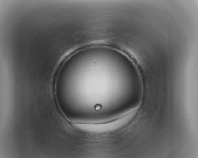 X0000111661308200907241143