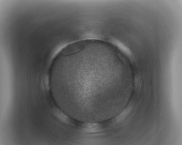 X0000111661310200907241143