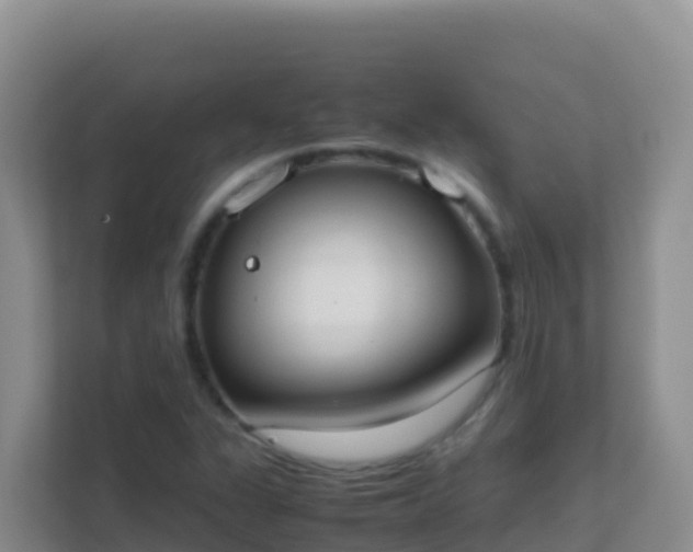X0000111661311200907241143