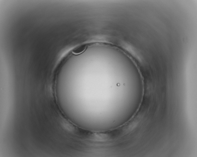 X0000111661312200907241143
