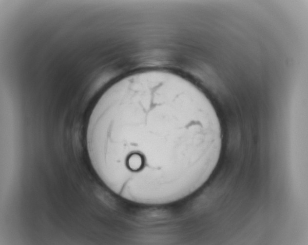 X0000111661314200907241143