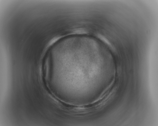 X0000111661315200907241143