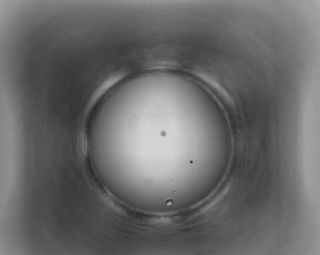X0000111661317200907241143