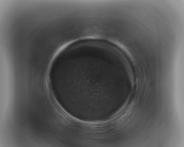 X0000111661319200907241143