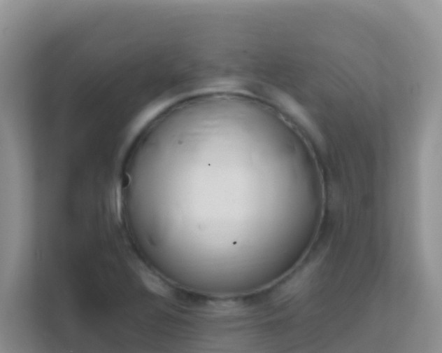 X0000111661320200907241144