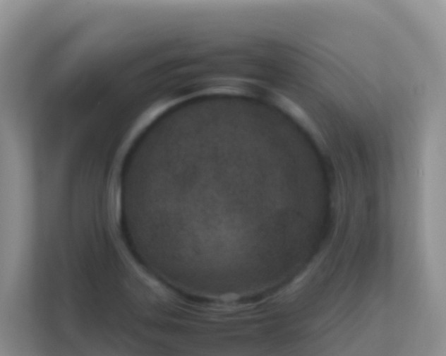 X0000111661323200907241144