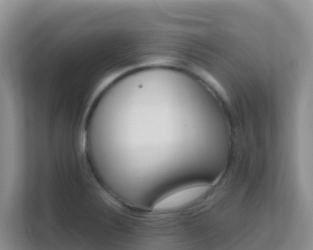 X0000111661324200907241144