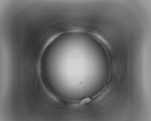 X0000111661325200907241144
