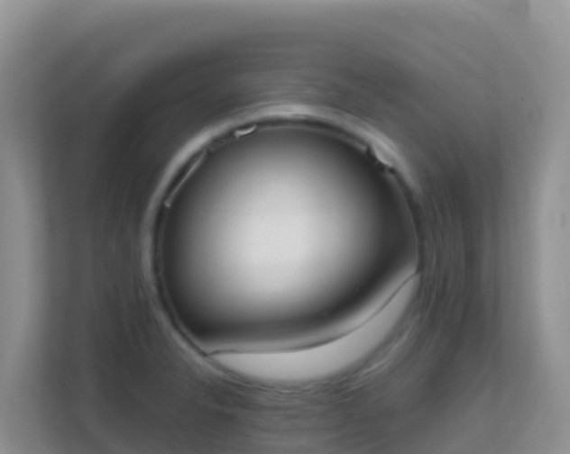 X0000111661326200907241144
