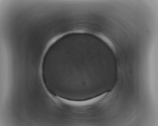 X0000111661327200907241144
