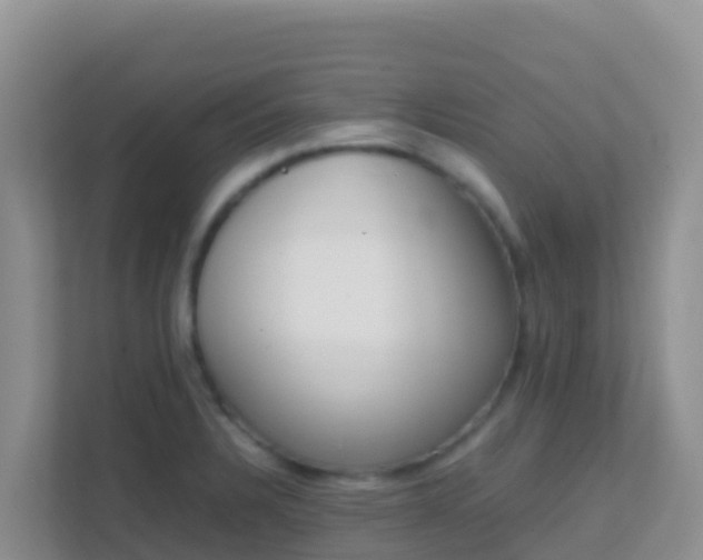 X0000111661328200907241144
