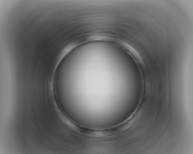 X0000111661330200907241144