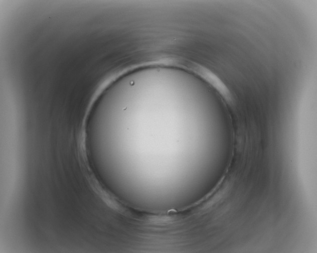 X0000111661332200907241144
