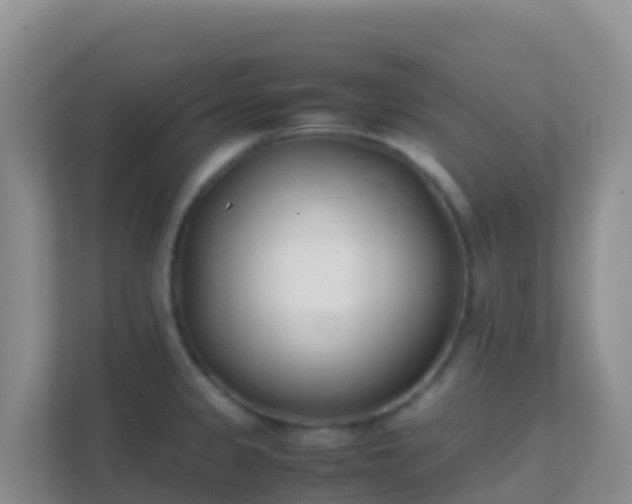 X0000111661333200907241144