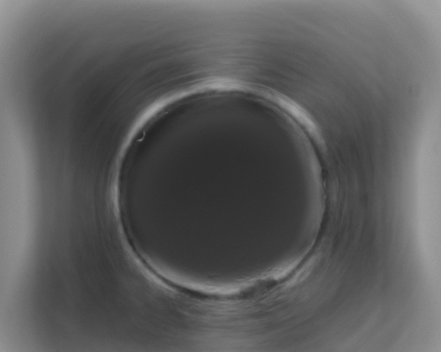 X0000111661334200907241144