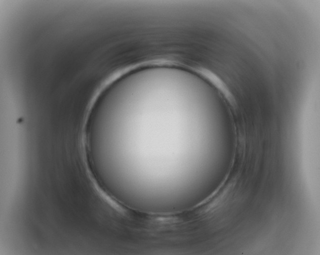 X0000111661335200907241144