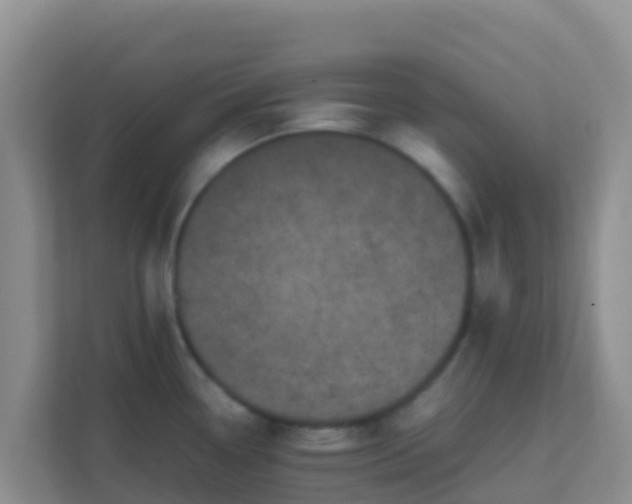 X0000111661338200907241144