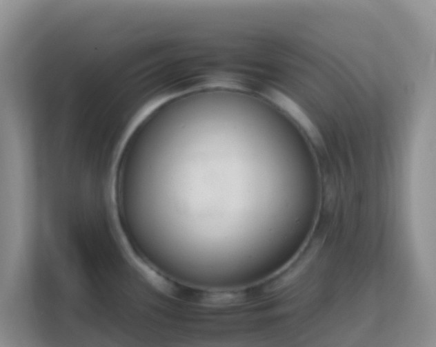 X0000111661339200907241144