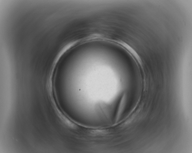 X0000111661341200907241144