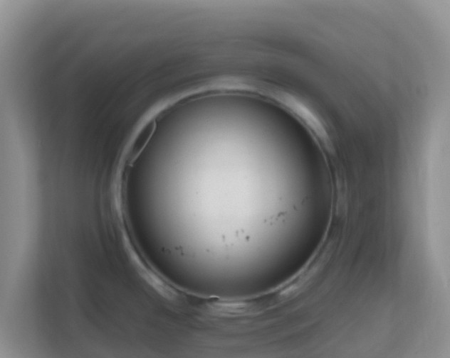 X0000111661342200907241144
