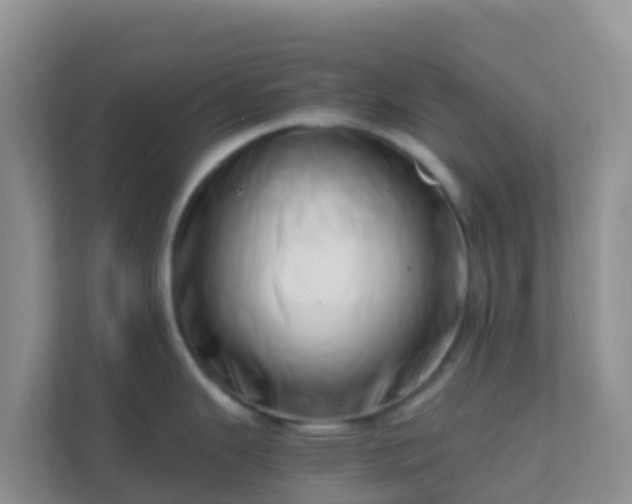 X0000111661343200907241144