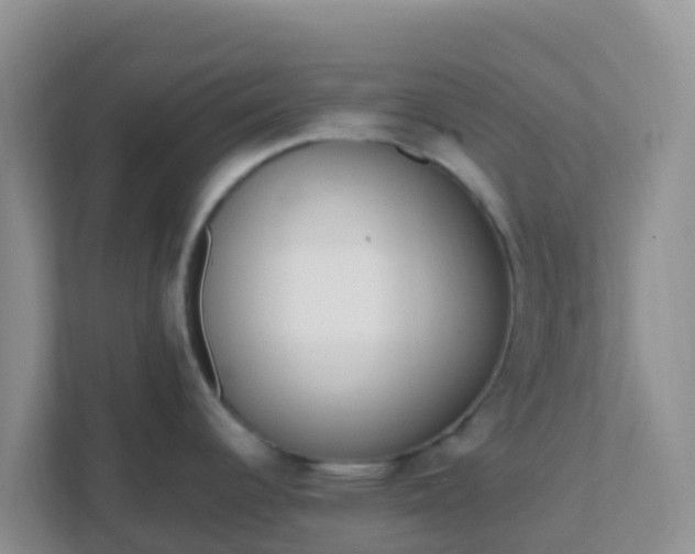 X0000111661344200907241144