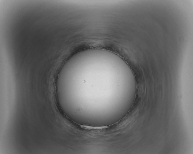 X0000111661345200907241143