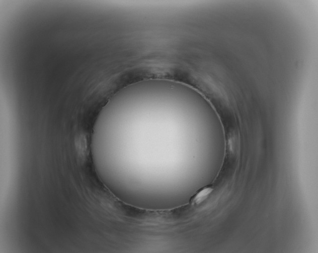 X0000111661347200907241143