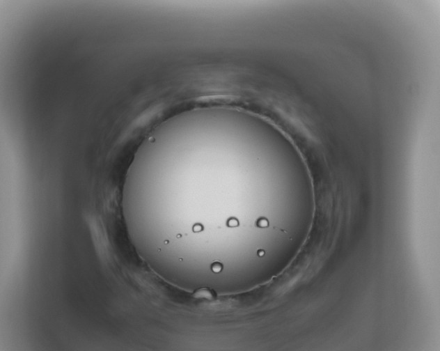 X0000111661351200907241143