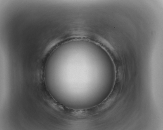 X0000111661352200907241143