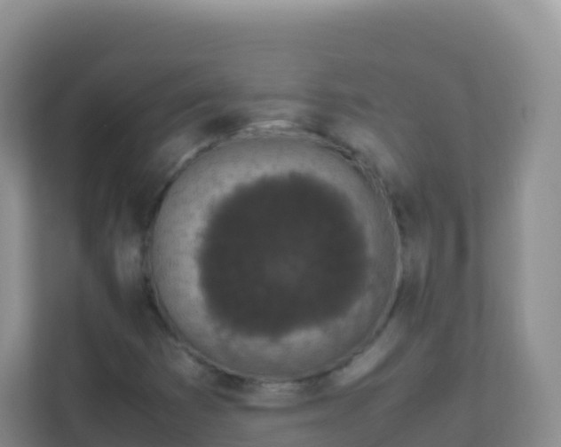 X0000111661353200907241143