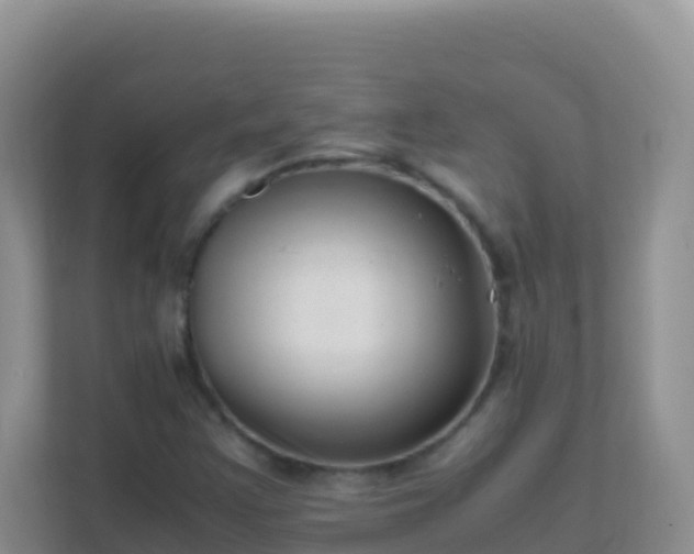 X0000111661355200907241143
