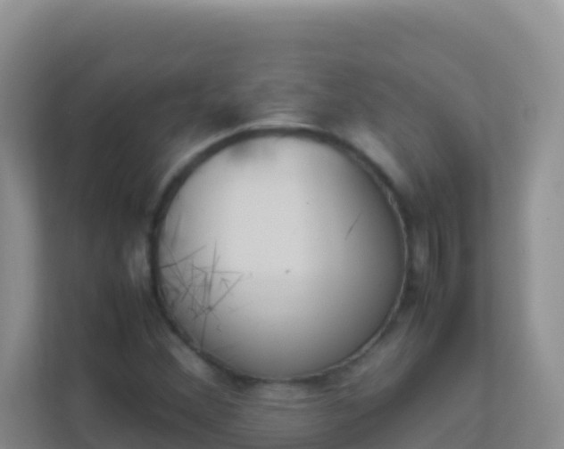 X0000111661356200907241143