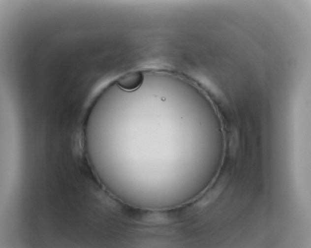X0000111661358200907241143