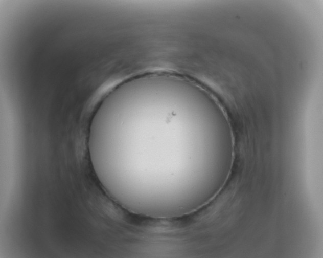 X0000111661359200907241143