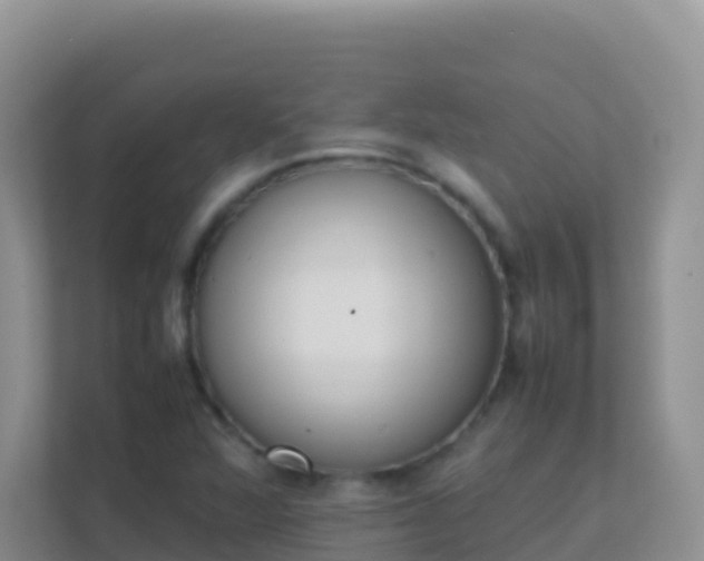 X0000111661360200907241143