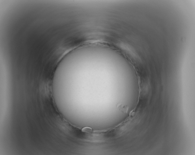 X0000111661361200907241143