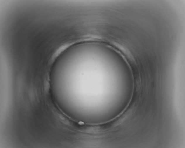 X0000111661363200907241143