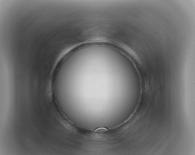 X0000111661364200907241143