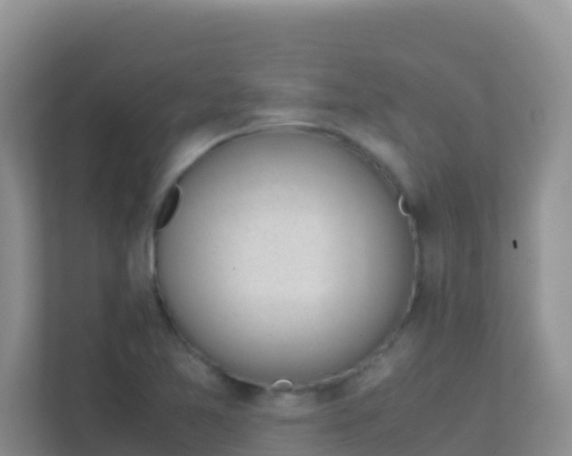 X0000111661365200907241143