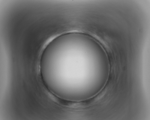 X0000111661367200907241143