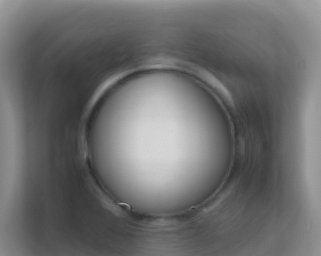 X0000111661368200907241143
